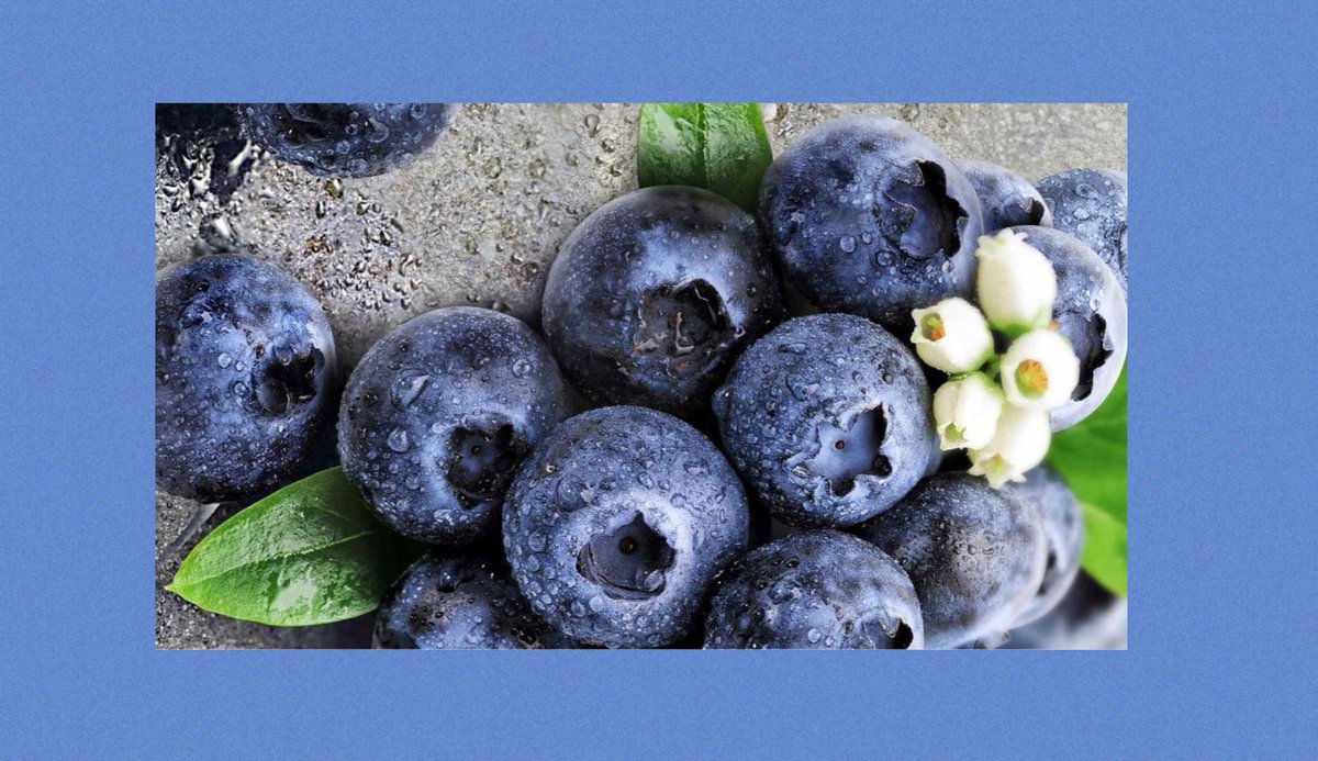 endo3nity's tweet photo. 🧬También existen complementos en el mercado con todos los beneficios combinados para desintoxicar el cuerpo y fabricados para una mayor absorción.
🧬¿Quieres saber cuáles son?
#antioxidantes
#arándanos
#salud
#resveratrol
#flavonoides
#rejuvenecimiento 
#endometriosis https://t.co/LItjVjGI1o