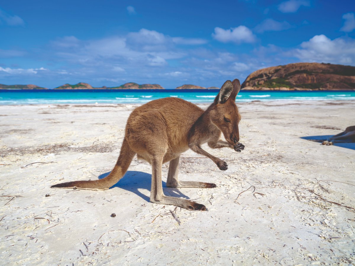 Travel 2 tweet media