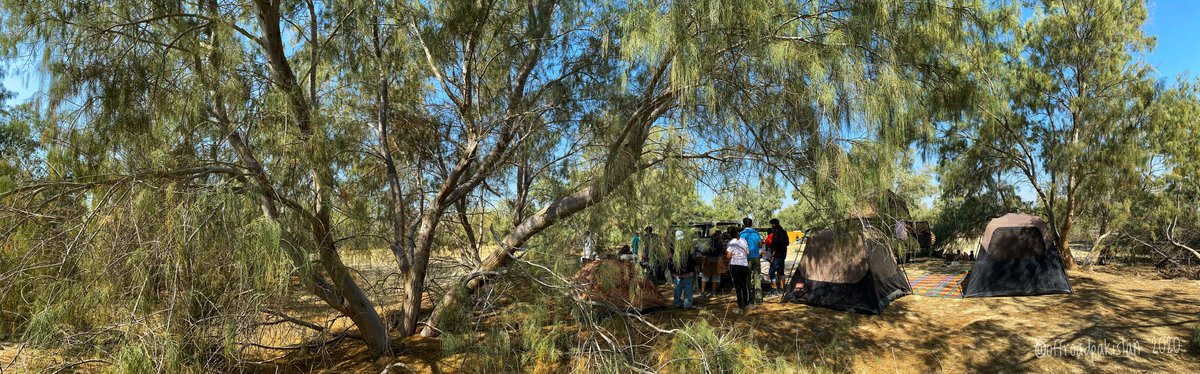 offroadpakistan's tweet photo. Cooking breakfast under the cool shade of Gaz trees in Hingol National Park. #Baluchistan #offroadpakistan https://t.co/gz7swfMeaC