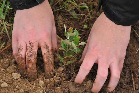 CURSO “INTERPRETACIÓN AMBIENTAL DE LA RESERVA DE LA BIOSFERA TAJO-TEJO INTERNACIONAL. TRANSICIÓN HACIA UN TERRITORIO DE OPORTUNIDADES SOSTENIBLES”. cprbrozas.juntaextremadura.net/index.php/24-u…