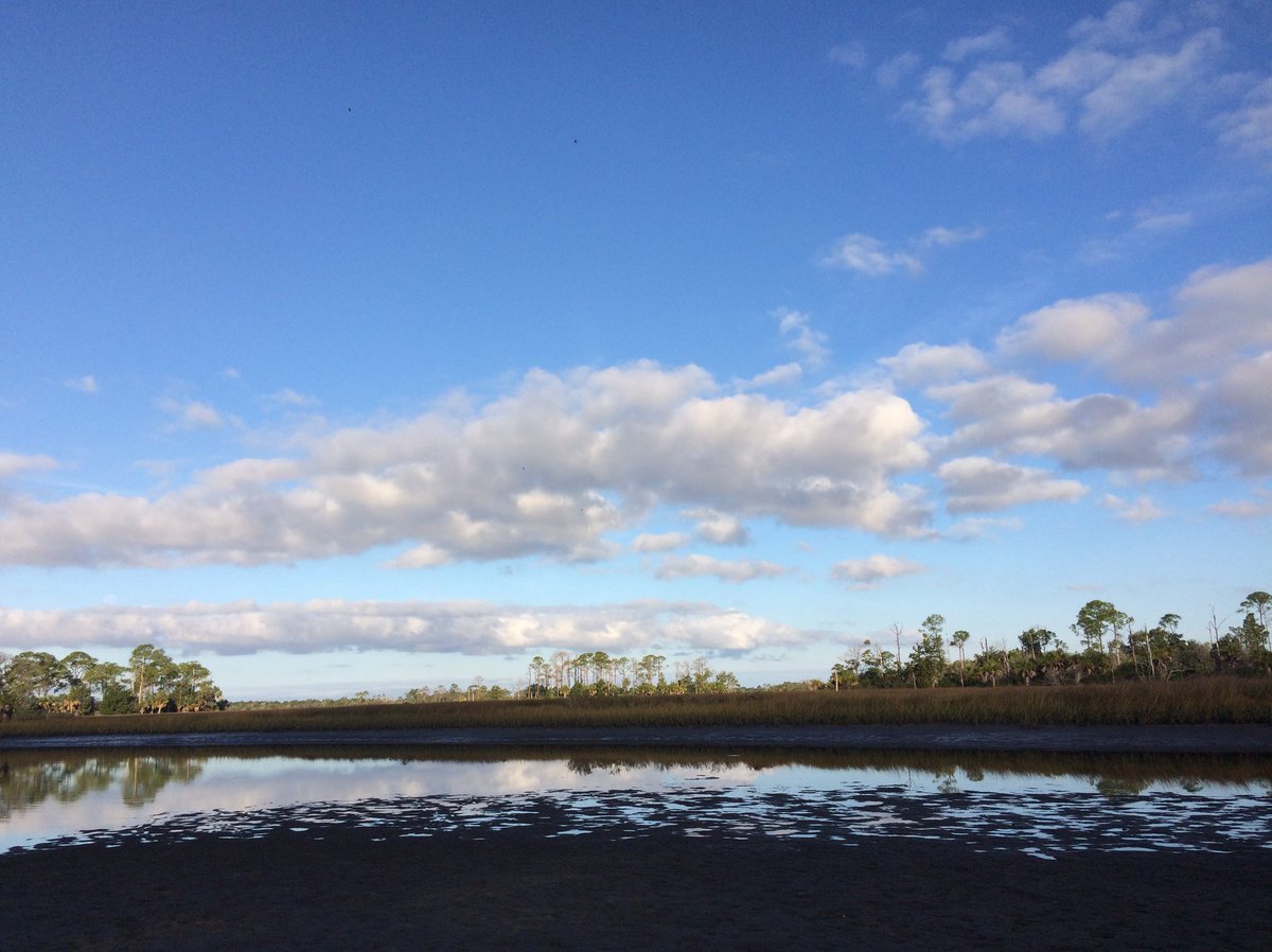 WilsonsFishing's tweet photo. Can you feel that #FridayFeeling? Might be gloomy here in #Florida today but the #Weekend is looking fabulous! #Fishing #WeekendVibes #SaltLife #CedarKey #ShellMound #VisitFL @RealSaltLife @VISITFLORIDA @VisitLevyCounty #FridayThoughts #FridayMotivation #Salty #GulfOfMexico https://t.co/1DelRT2gfn