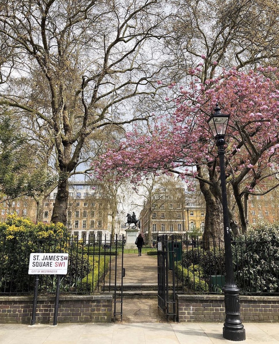 FlexibleOffices's tweet photo. London in the sun reminds us how great it is https://t.co/7WxTaoAPng