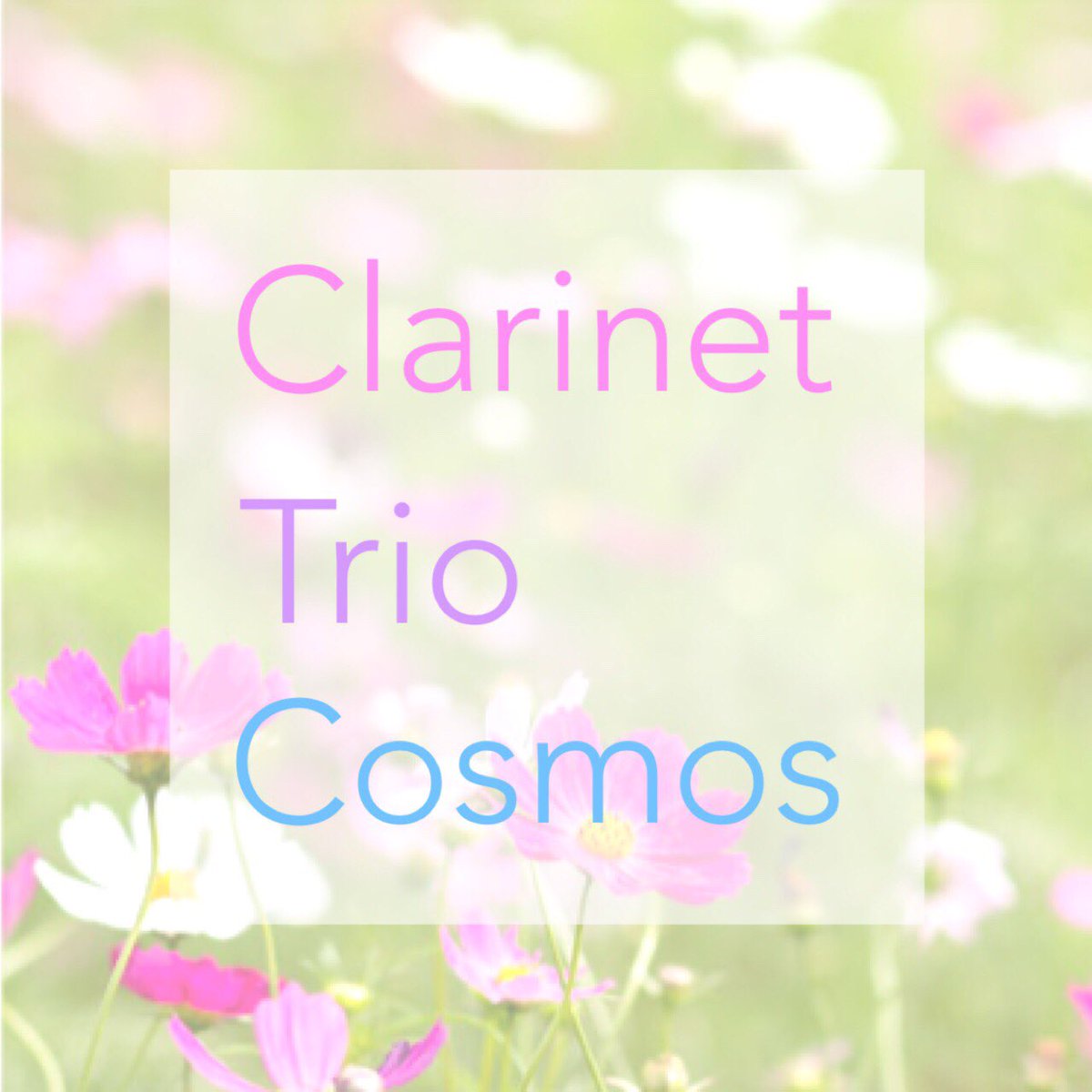 Clarinet Trio Cosmos 福島県ゆかりのクラリネット奏者によるclarinet Trio Cosmosついに始動です コスモス の花言葉は調和 音楽を通して 皆さまと繋がれたらいいなと思っております 是非フォローお願いします