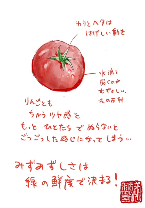 【羽賀まんが道】
【第66夜】

今日は「トマトのスケッチ」です!

#日刊ラッキーズ
#365日毎日企画
#毎日22時更新 