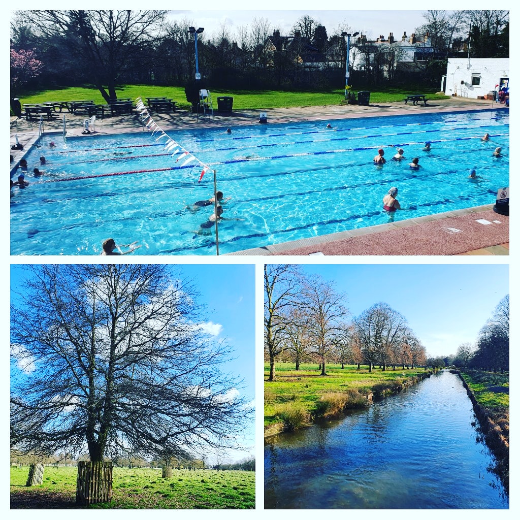 Beautiful morning walk through Bushy Park and sunny swim. #bushypark #royalbushypark #outdoorswimming #swimmingpool #sunnyday #lovehamptonhill