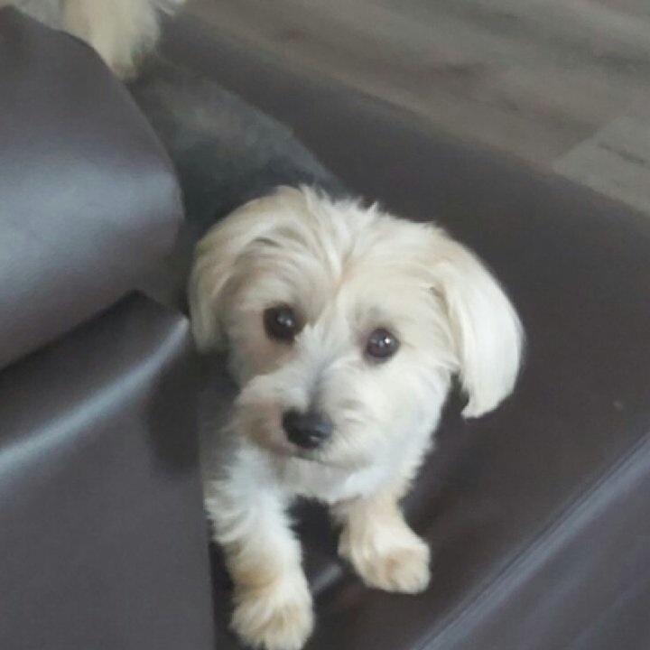 progressives8's tweet photo. Come hangout with me on #BIGOLIVE https://t.co/9VoKslpmqb https://t.co/pezL20g1x5