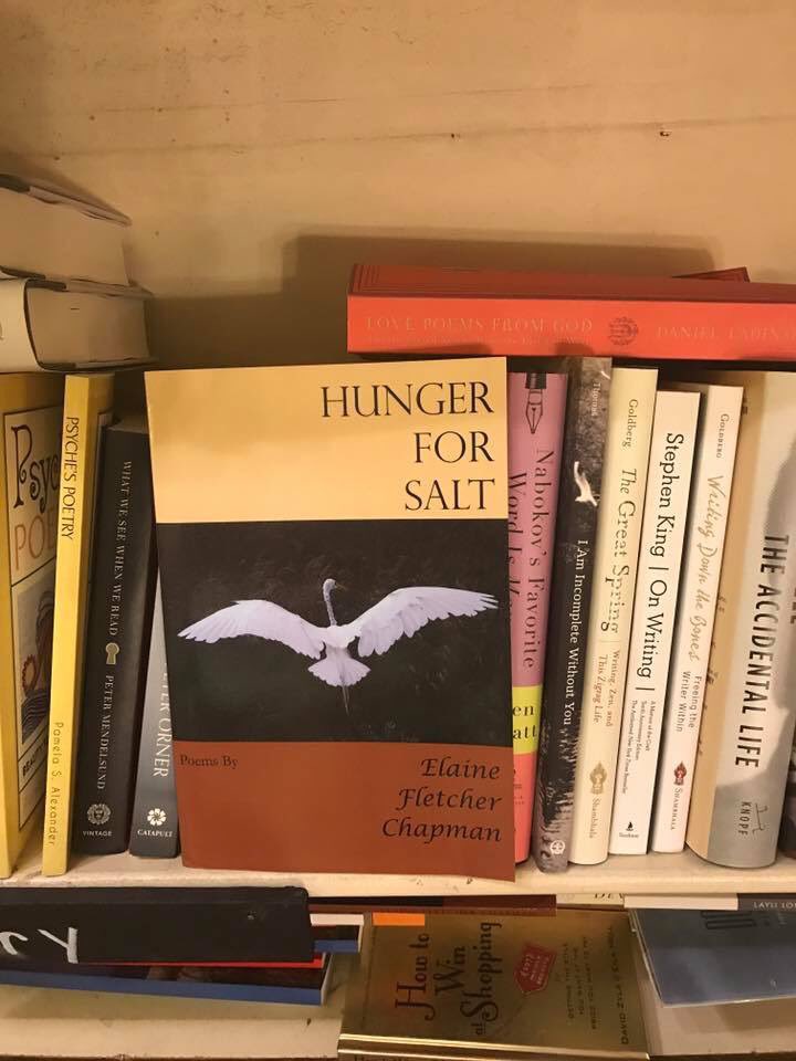 efchapman's tweet photo. I was so excited about reading and book signing at #AWP20 with #SaintJulianPress. #HungerforSalt https://t.co/5p1NxF6BMd