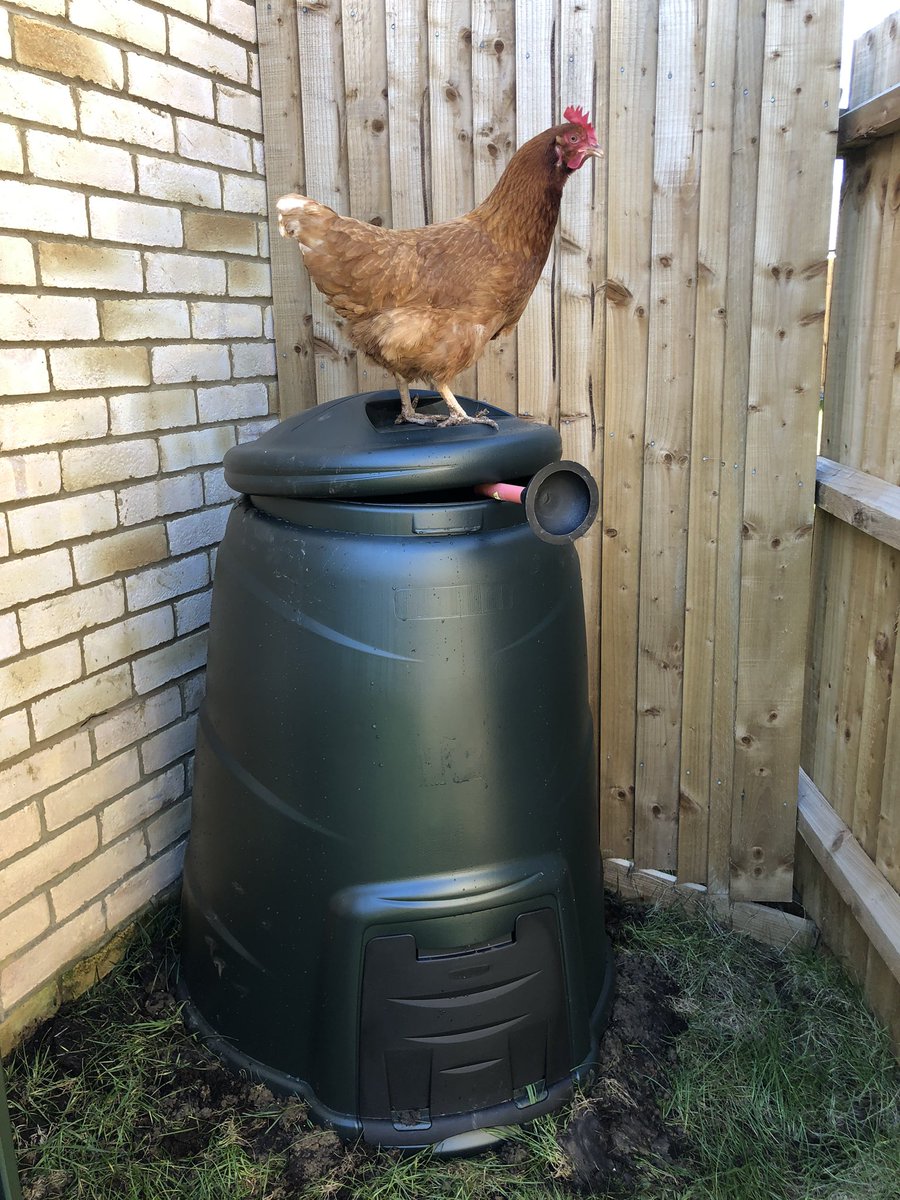 Neville Styles tweet media