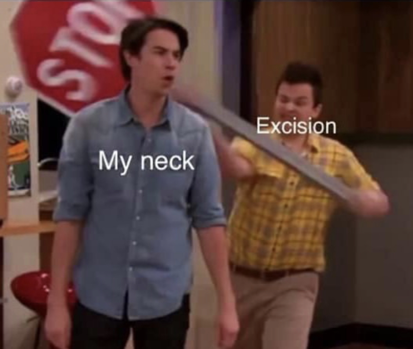 Every. Time. 🥴 #excision #ravememe