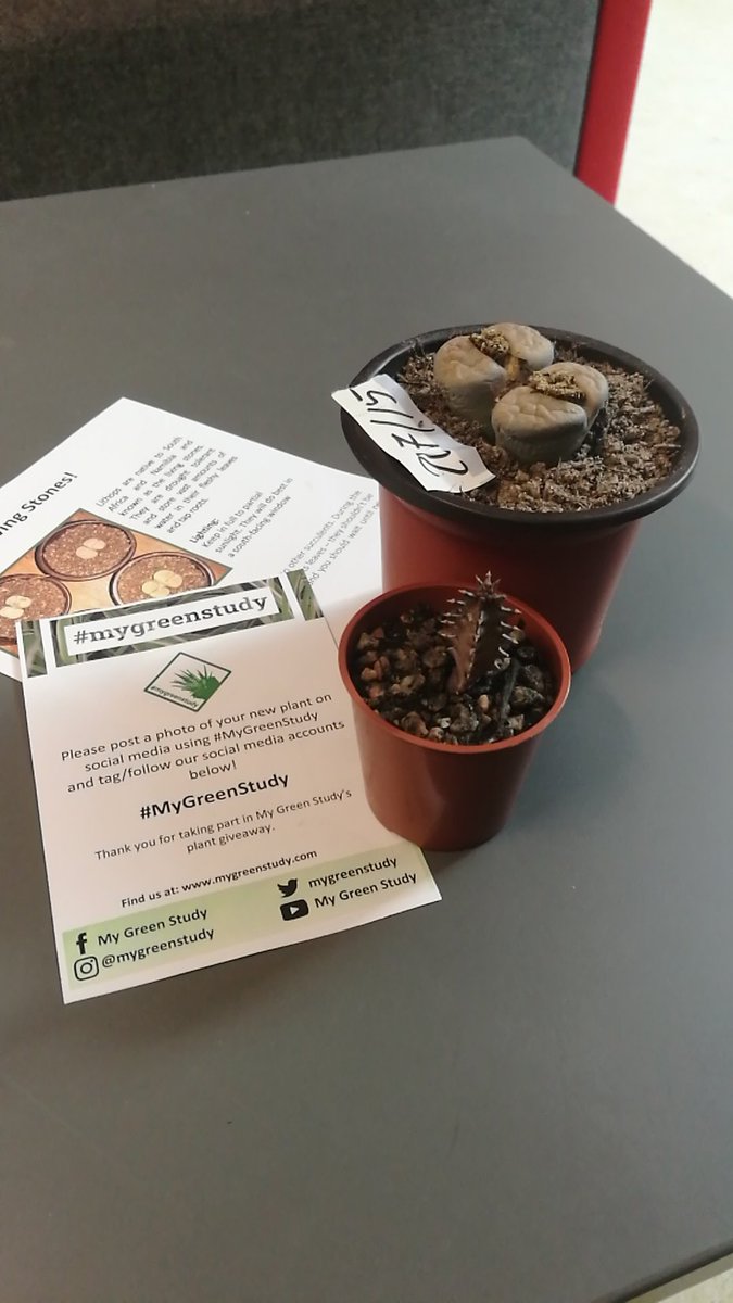 I've got more plant' #MyGreenStudy