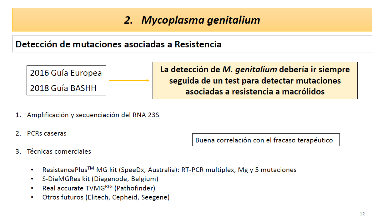 bashh prostatitis)