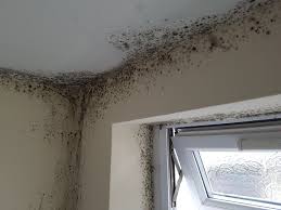 Positive Input Ventilation Units currently on sale!

Check out our website for our condensation control offers

#condensation #pivunits #ventilation #london #mould
#whichtrustedtrader
dampproofingdirect.co.uk