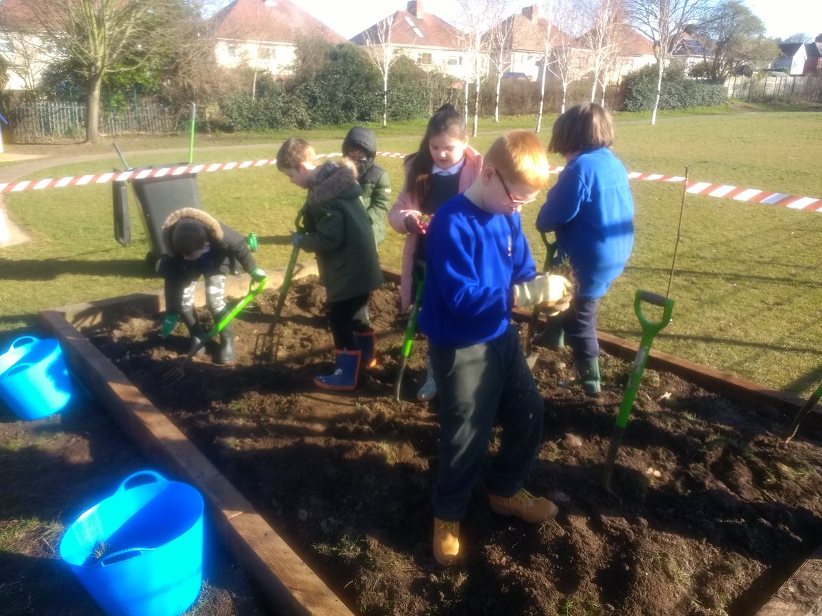 N_outandabout's tweet photo. Today our young gardeners from @PeacockClass2 @Y3Flamingo @cuckooclass @Y4Hummingbirds @y6goldfinch dug over our new vegetable bed to clear the weeds and grass. It was hard work! We worked carefully and safely with forks to break up the soil. #norbridge #gardening #digging https://t.co/PmR0NAYapi