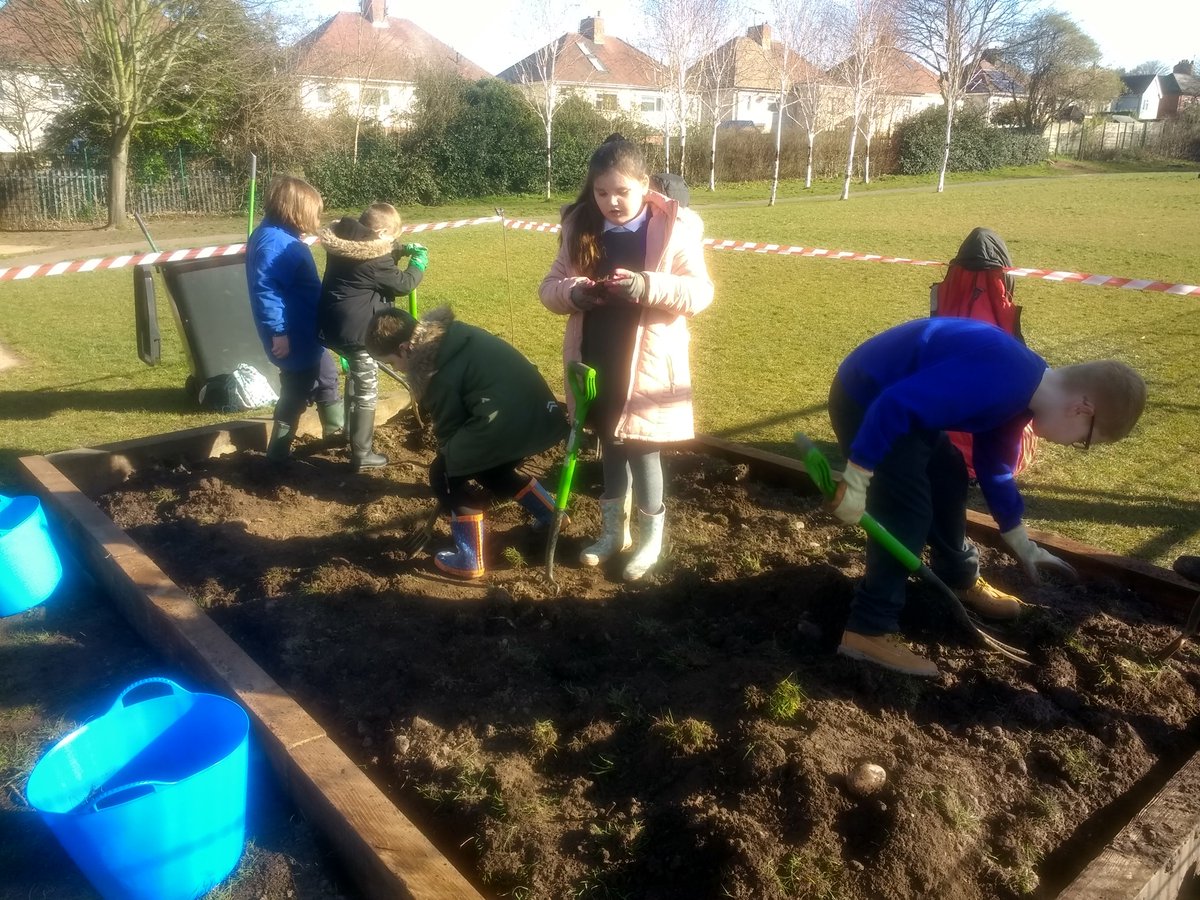 N_outandabout's tweet photo. Today our young gardeners from @PeacockClass2 @Y3Flamingo @cuckooclass @Y4Hummingbirds @y6goldfinch dug over our new vegetable bed to clear the weeds and grass. It was hard work! We worked carefully and safely with forks to break up the soil. #norbridge #gardening #digging https://t.co/PmR0NAYapi