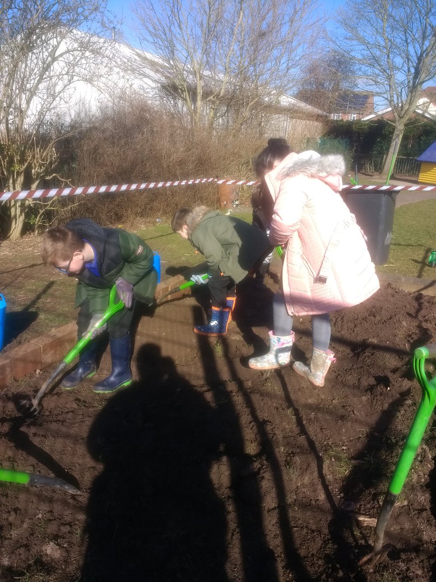 N_outandabout's tweet photo. Today our young gardeners from @PeacockClass2 @Y3Flamingo @cuckooclass @Y4Hummingbirds @y6goldfinch dug over our new vegetable bed to clear the weeds and grass. It was hard work! We worked carefully and safely with forks to break up the soil. #norbridge #gardening #digging https://t.co/PmR0NAYapi