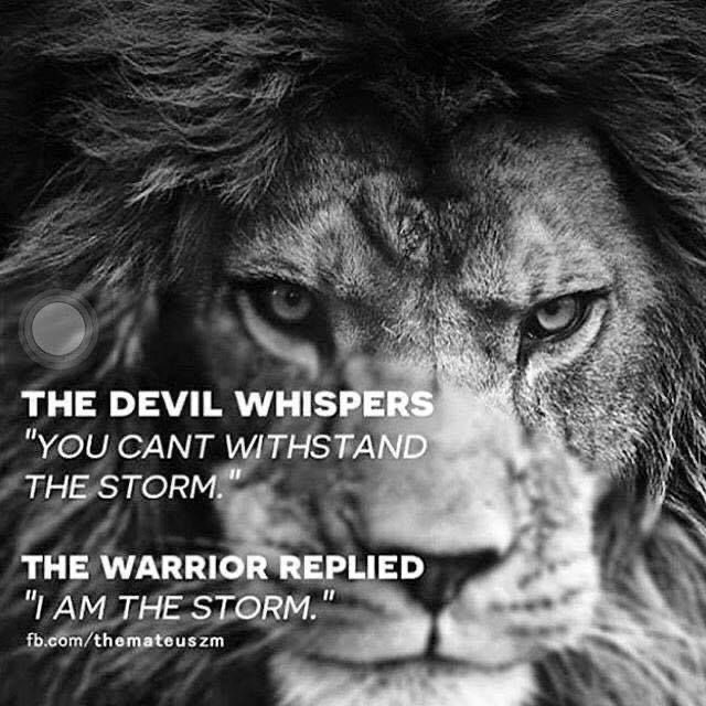 MonarchWrestle's tweet photo. Winning the battle in between your ears is the first step to winning the battle on the mat. #belief https://t.co/3ZaD5zXWm0