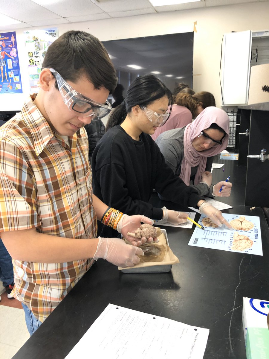 WWHS Science tweet media