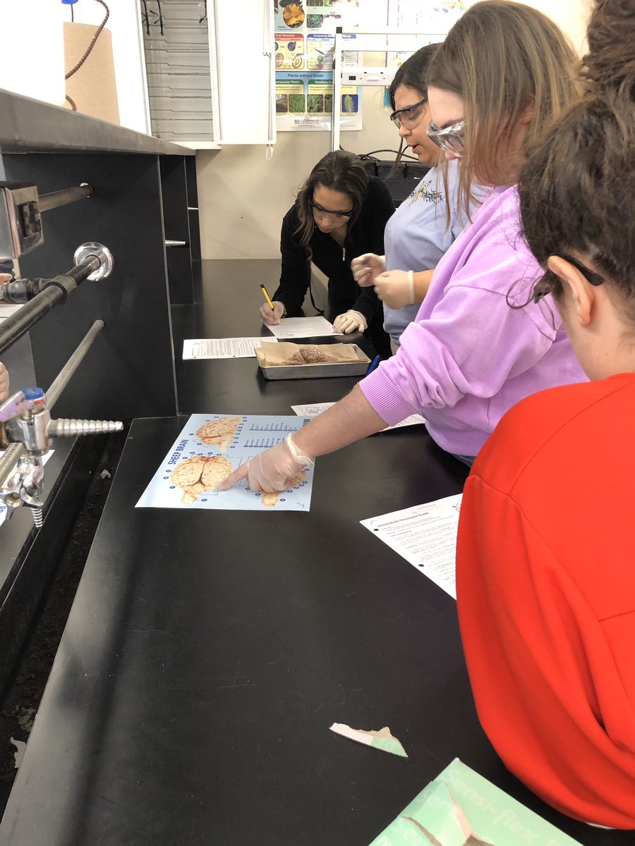 WWHS Science tweet media