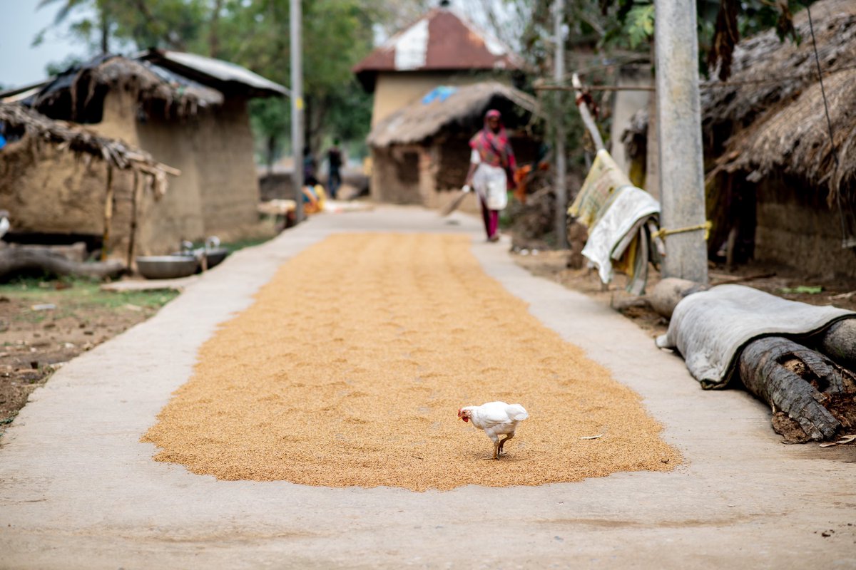 will_bergmann's tweet photo. Day 10: Rice and chicken. The 2 things we have eaten 19/20 meals. Thankful we even had those meals. Hard for me to balance the privilege; to be able to see the world and meet people, to be here in this country with these people, costs more than most families will make in 2 years https://t.co/l8Huv7aDvV