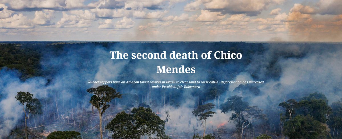 tveitdal's tweet photo. The second death of Chico https://t.co/rrZul8eOTp
Mendes
Rubber tappers burn an Amazon forest reserve in Brazil to clear land to raise cattle - deforestation has increased under President Jair Bolsonaro https://t.co/LAeWp0iU8t