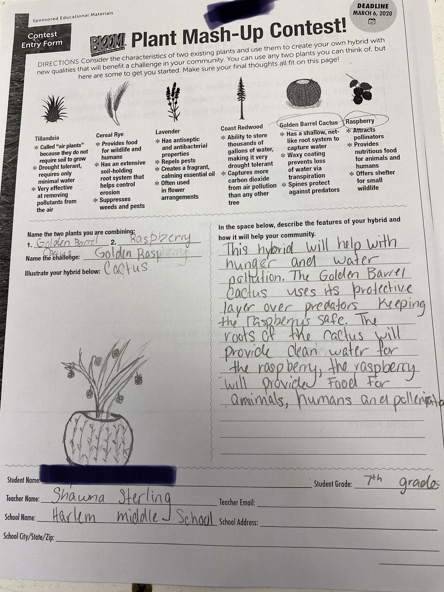 HMS_Team73's tweet photo. Four of our students entered the @Scholastic Plant Mash-up Contest. Students mashed Elderberry and Echinacea, Tillandsia and lavendar, Gold Barrel and Raspberry, and Peppermint and Aloe creating hybrid plants with beneficial properties. @HarlemMS @HSD122 https://t.co/H1vzEMnsf4