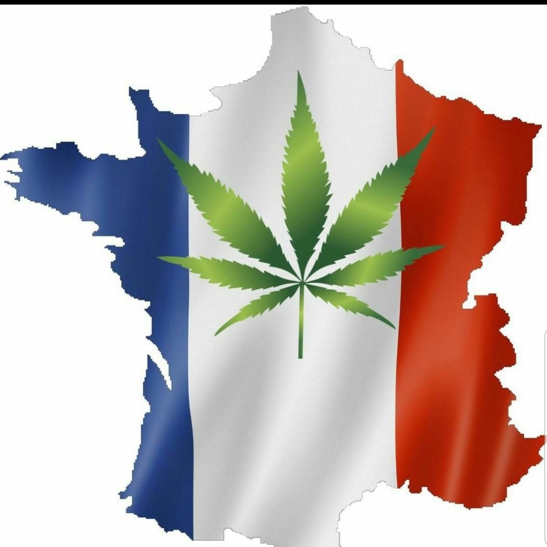 Plugdaker4201's tweet photo. Commandez discrètement
Sur
snap : plugdaker420
Whatsapp +33757911785
#parisstyle #paris #fashion #parismonamour #streetstyle #fashionweek #parisienne #marais #montrealblogger #toujourslememebanc #parismontreal #frenchlife #parisbench #bancparisien #parislove #parisstreetlife https://t.co/XHgVyNNkry