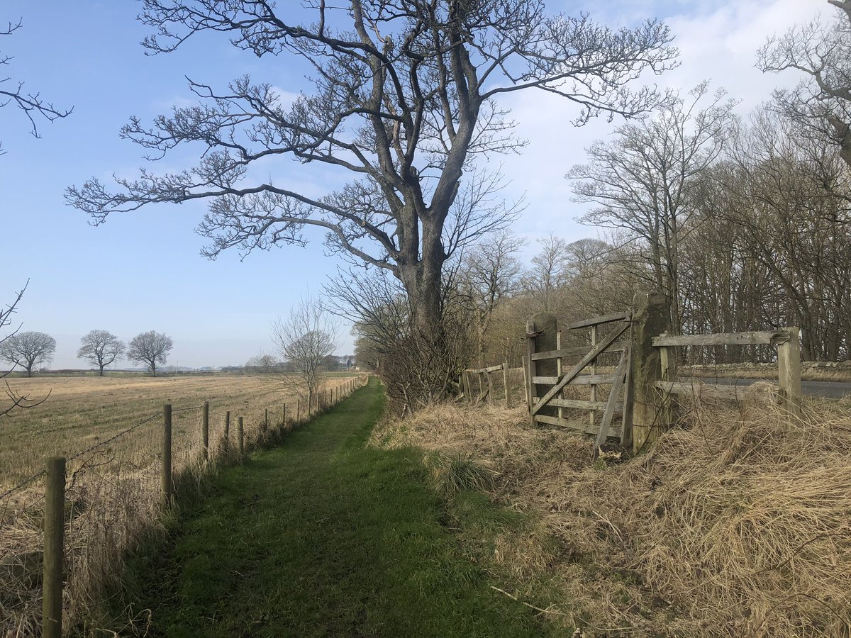 dew18willow's tweet photo. 2 Gary seemed to have created a new gate on my section 😊 #HWpath #HadriansWall #nationaltrail https://t.co/aO2wkgzfDt