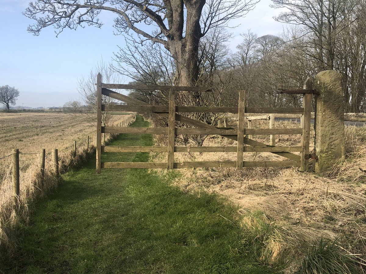 dew18willow's tweet photo. 2 Gary seemed to have created a new gate on my section 😊 #HWpath #HadriansWall #nationaltrail https://t.co/aO2wkgzfDt