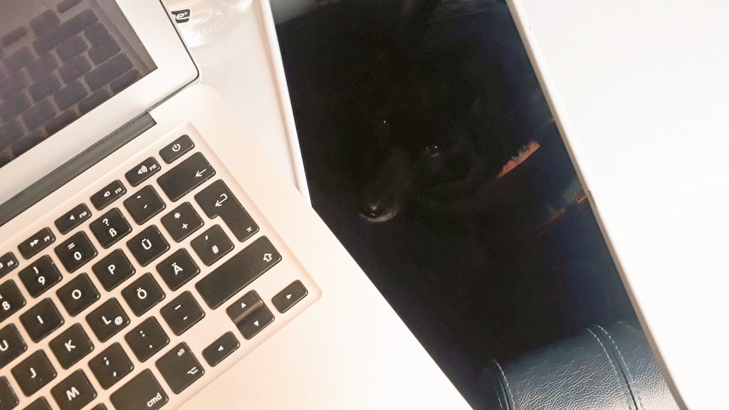 FrauFensterdog's tweet photo. Komisches Büro. #Zugoffice https://t.co/NgJuSf6ObE