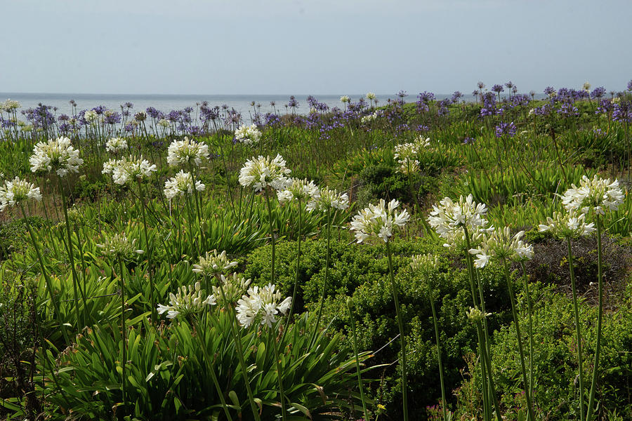 RCragwall's tweet image. Just curious - what are you imagining today? Me? There is no panic. LOL all know it is just a virus no better or worse than any other flu virus that has come before. It&apos;s all good! Tag - your it! Share what you are imagining today!!  It&apos;s all good! #imaginationcreatesreality