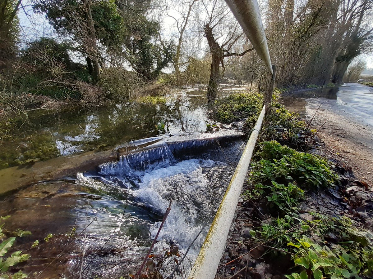 CurateDurrant's tweet photo. Source of the river Itchen #HolySpring https://t.co/gSv0lnhONp