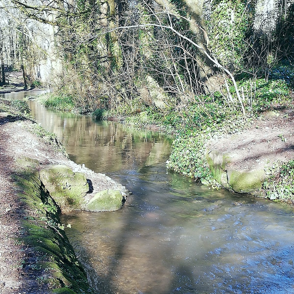 RiverTreeD's tweet photo. Another shot of the flowing river in #cerneabbas showing a perfect place to sit and relax...

#nature #River https://t.co/wE5iKDlLw3