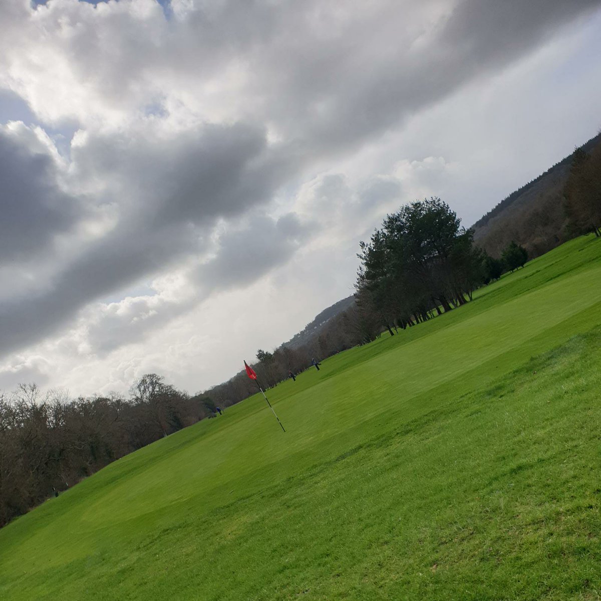 TeignValley1's tweet photo. Beautiful @TitleistEurope Wedges ordered and arrived for a customer #sm8 
Full main greens still? You got it! #teignvalley https://t.co/jOsndFscrj
