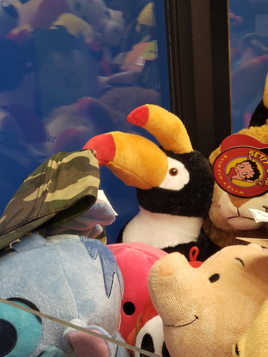 Cool_Dog_Alpha's tweet photo. Ummmm, are you ok Mr. Toucan?? 
#oops #thatdoesntgothere #whytho https://t.co/tRO4NiyAhY