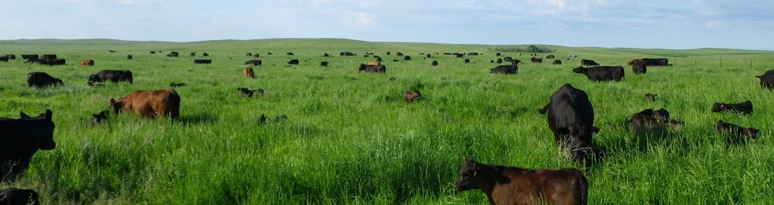 FarmandRancher's tweet photo. Regenerating Landscapes for a Sustainable Future”

Gabe and Paul Brown

We believe that faith, family and working with the natural resources that God has provided allows us a meaningful life. https://t.co/7ZAxuH97Pu https://t.co/Nm8CZxyKt6