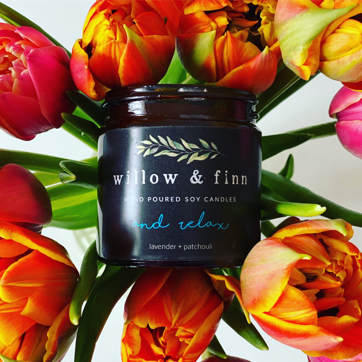 Willow & Finn tweet media