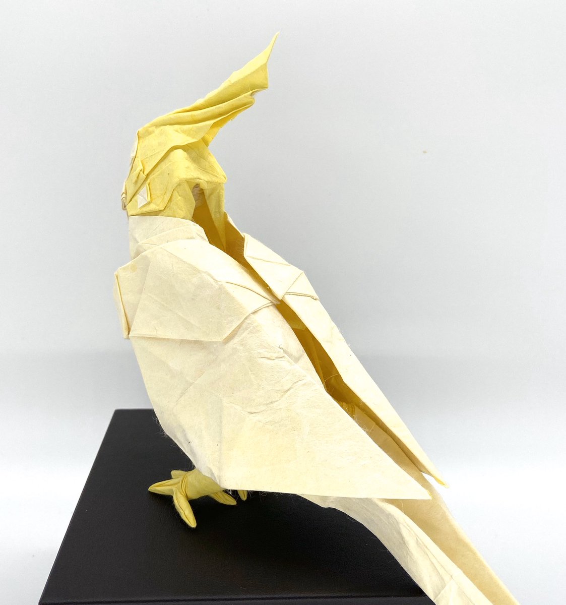 Sk A Twitter オカメインコ 創作 私 折手 私 紙 韓紙 雲竜紙 Cmc アクリル絵の具 55cm 折り紙作品 折り紙 オカメインコ