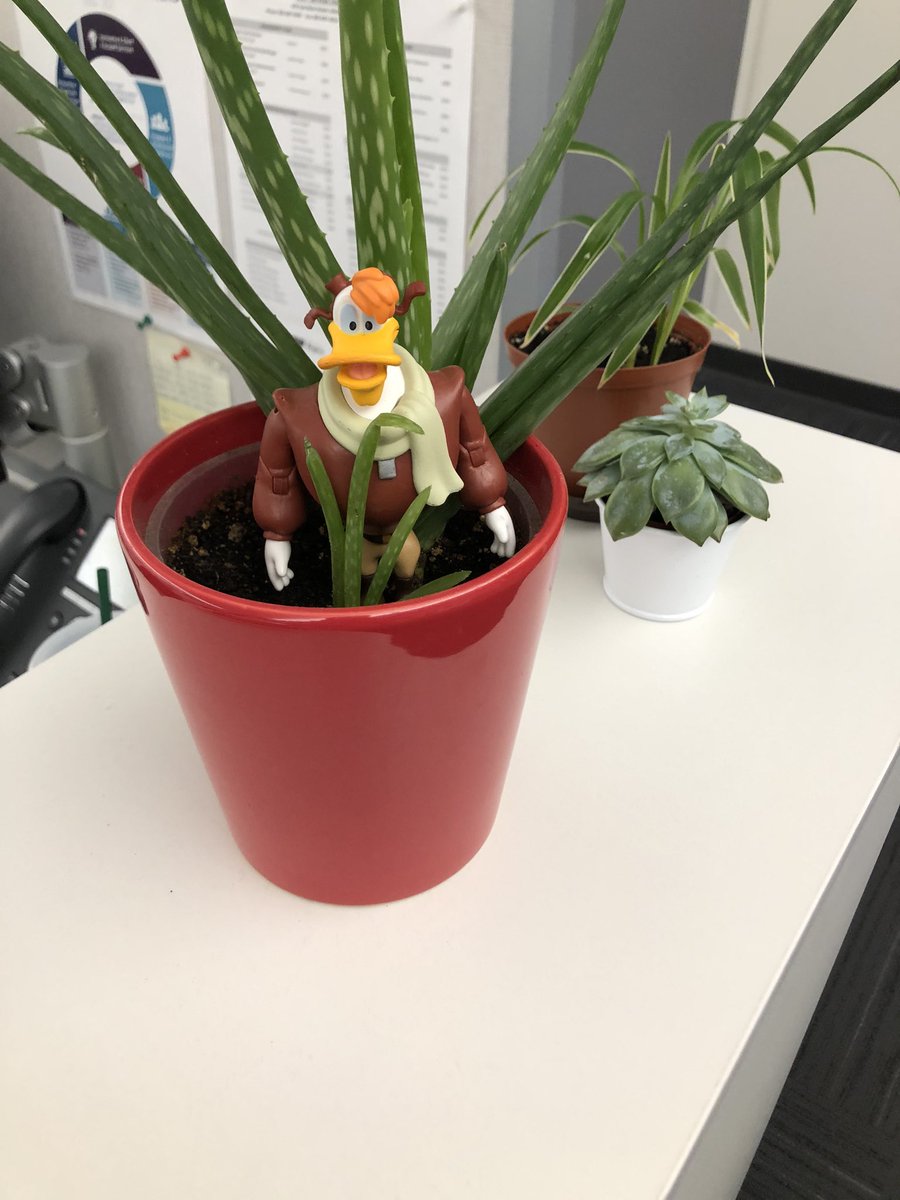 EmoCatDad's tweet photo. Help me DW! I’ve been snatched by Bushroot #AFWD2020 https://t.co/KNehyRmqTH