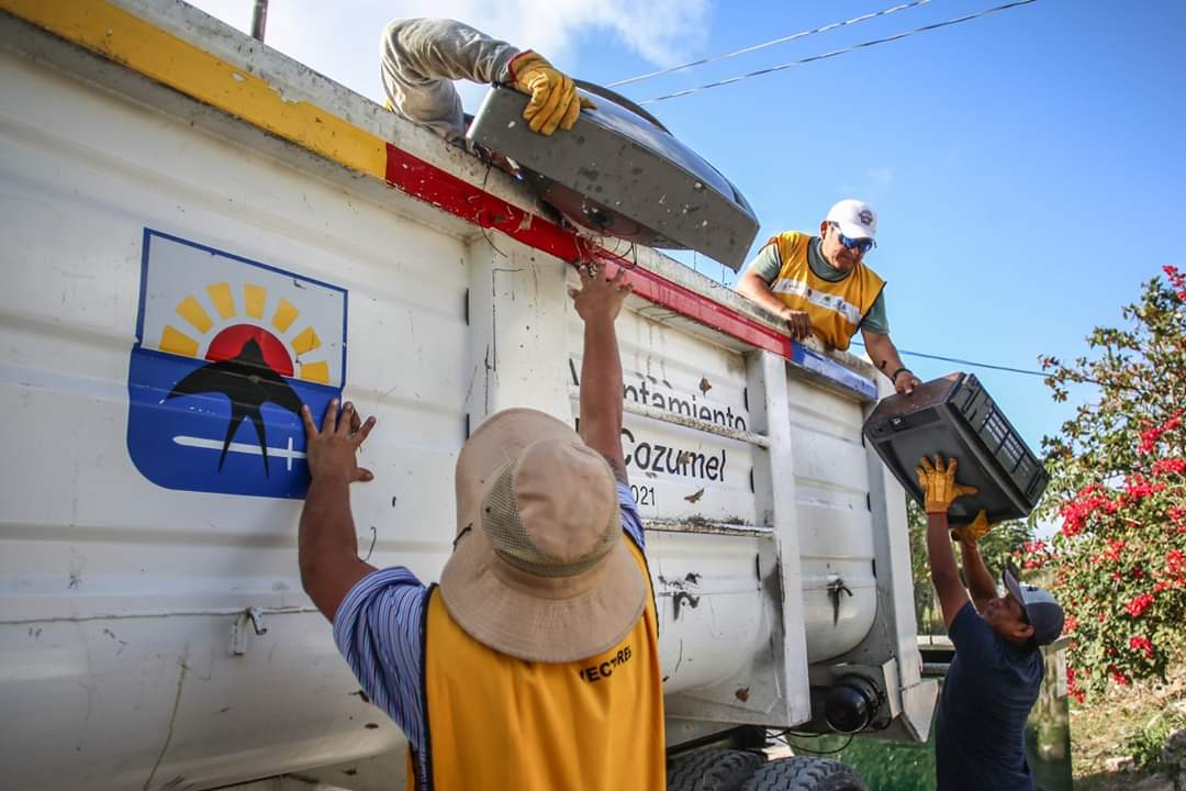 CozumelGobierno's tweet photo. A fin de evitar la proliferación del mosquito transmisor de dengue, continúa la Subdirección de #Salud con la campaña de "Eliminación de Criaderos de Moscos en las Colonias", en el asentamiento #Ranchitos y #LasFincas, donde recolectaron 3.5 toneladas de desechos sólidos. https://t.co/NgeJGbCy3q