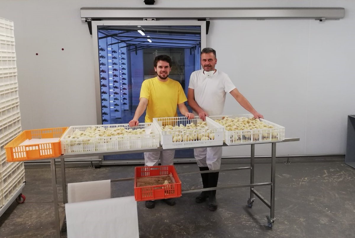 When the hatchery is finished, our hatchery coaches will be on site for a training. From incubation principles to working instructions and operating procedures: you are in trusted hands! Hatchery coach Marco Thiessen supporting hatchery manager Beat Erhler of Bibro, Swiss.