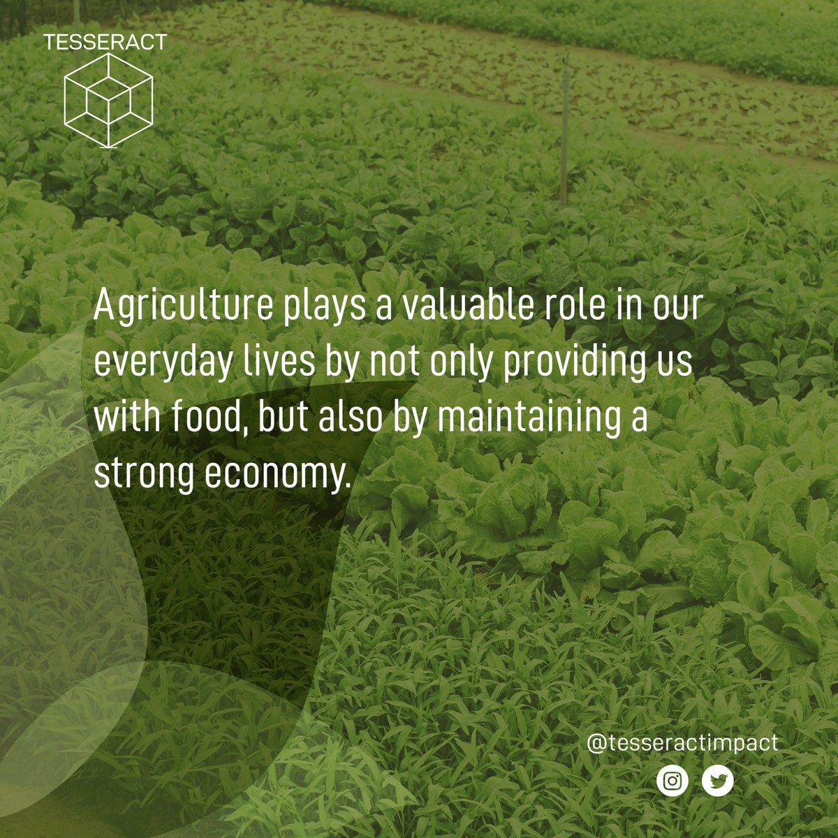 tesseractimpact's tweet photo. #Agriculture plays a valuable role in our everyday lives by not only providing us with #food, but also by maintaining a strong #economy. On a #worldwide basis, more people are in some way involved in agriculture than in all other occupations combined. https://t.co/th1qlqtb8n
