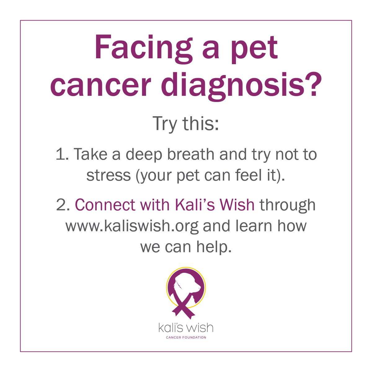 kalis_wish's tweet photo. We are here through every step of a pet cancer diagnosis. Don't go through it alone.

Write us at https://t.co/8xHJ5AAljd

#kaliswish #kaliswishfoundation #writeus #petcancersupport #petcancer #cancerdiagnosis https://t.co/vXvtTL7nM0