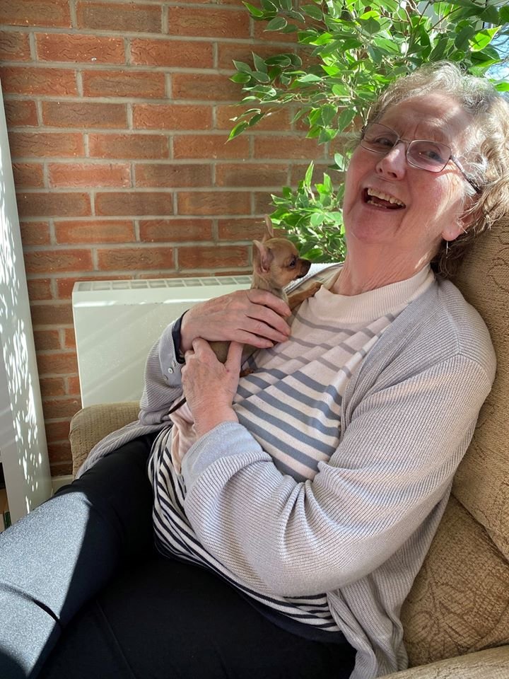 AnnesleyLodge's tweet photo. They say that a picture is worth a thousand words..... 
#annesleylodgepup #freddythechiwawa #pettherapy https://t.co/kXIKq26gUJ