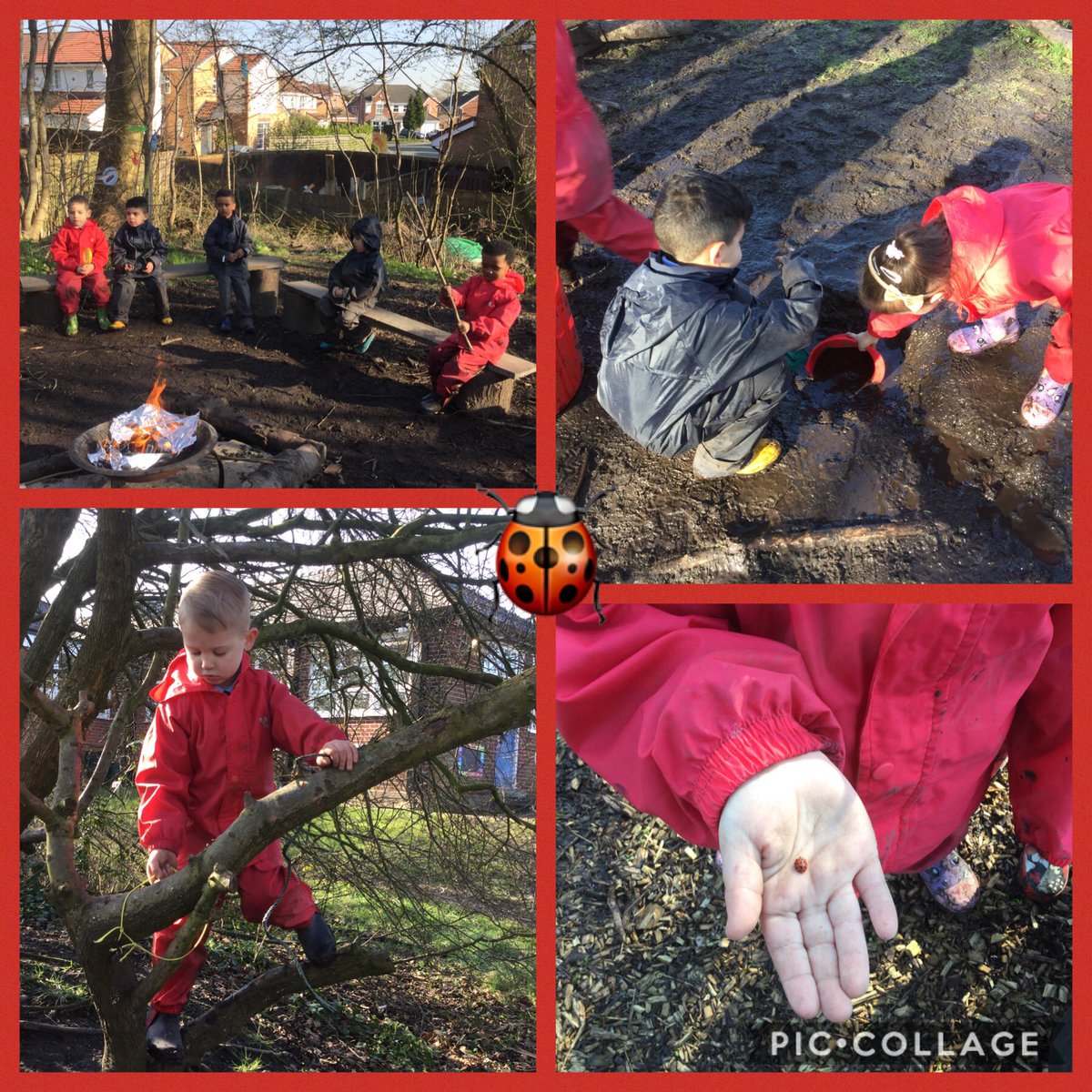 wcp_schoolEYFS's tweet photo. Hunting for the ladybird, mud pies, tree climbing, den building, hot chocolates and searching for signs of Spring. What a busy morning in #forestschool ποΏ½οΏ½ #wcpsdream #wcpsforestschool #wcpsphysical #wcpsunderstandingtheworld #wcpseyfs https://t.co/DFhlbLcR64