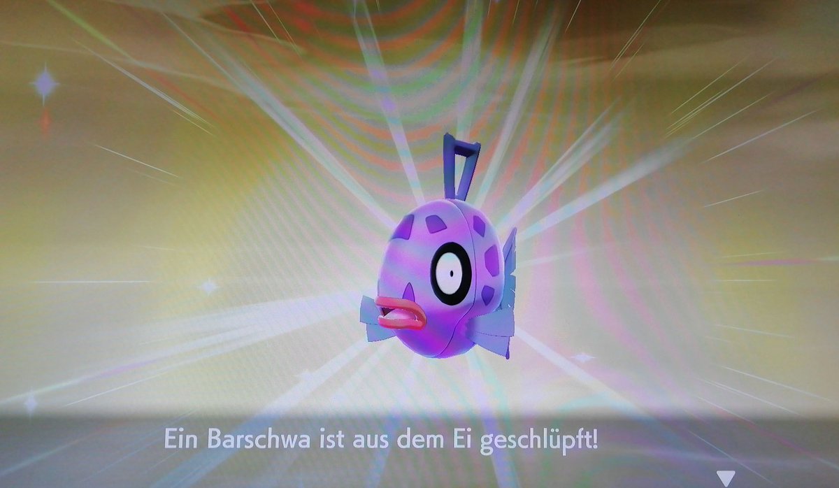deeCi11's tweet photo. Hai-Fisch! ... Äh Barsch 💖
Welcome to my Shiny Family
Nach 446 Eiern hatte ich den Lümmel
Motivativiert durch @TheSakatiS
#barschwa #shinyhunting #Pokemon #PokemonSwordShield #shinypokemon #sakatiS https://t.co/rlzDw8sCX8