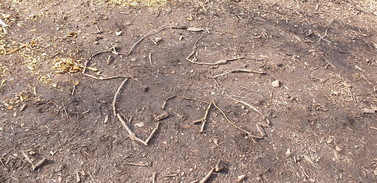 LarkHallPrimary's tweet photo. Amazing natural art during forest school by Samuel in Year 4! A fire breathing Phoenix! π₯
#lhforestschool #lhyear4 #lhmillenium #lhua https://t.co/dRbIAyWoha