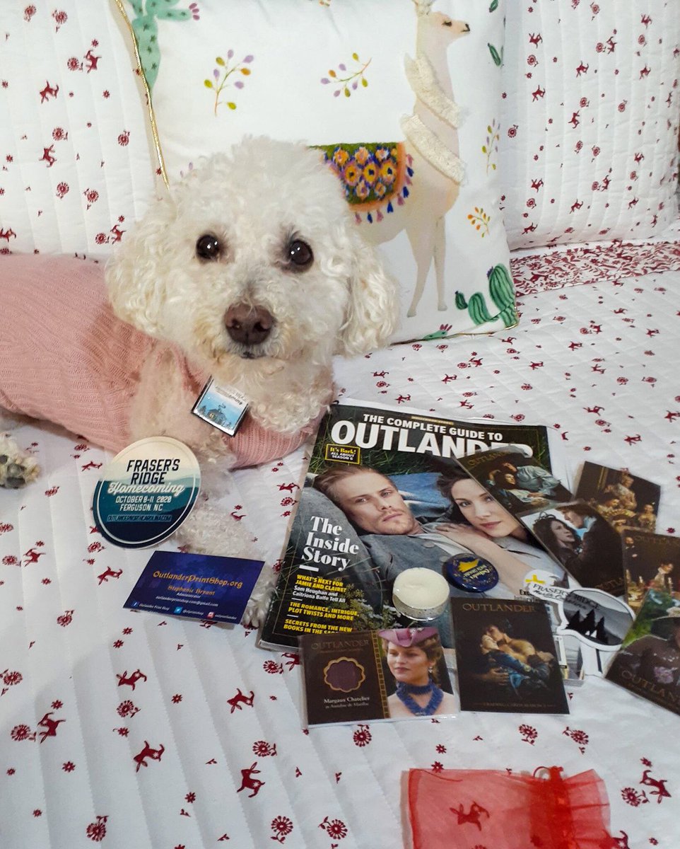 🐦⚜️Forastera’s⚜️🐦 tweet media