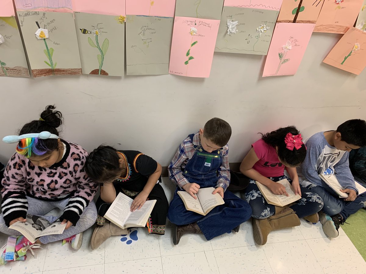 caconnelly11's tweet photo. A school wide Read-a-thon in the hallway at Wilburn Elementary! ⁦@caconnelly11⁩ ⁦@wilburn_es⁩ https://t.co/s0uhRdPc2I