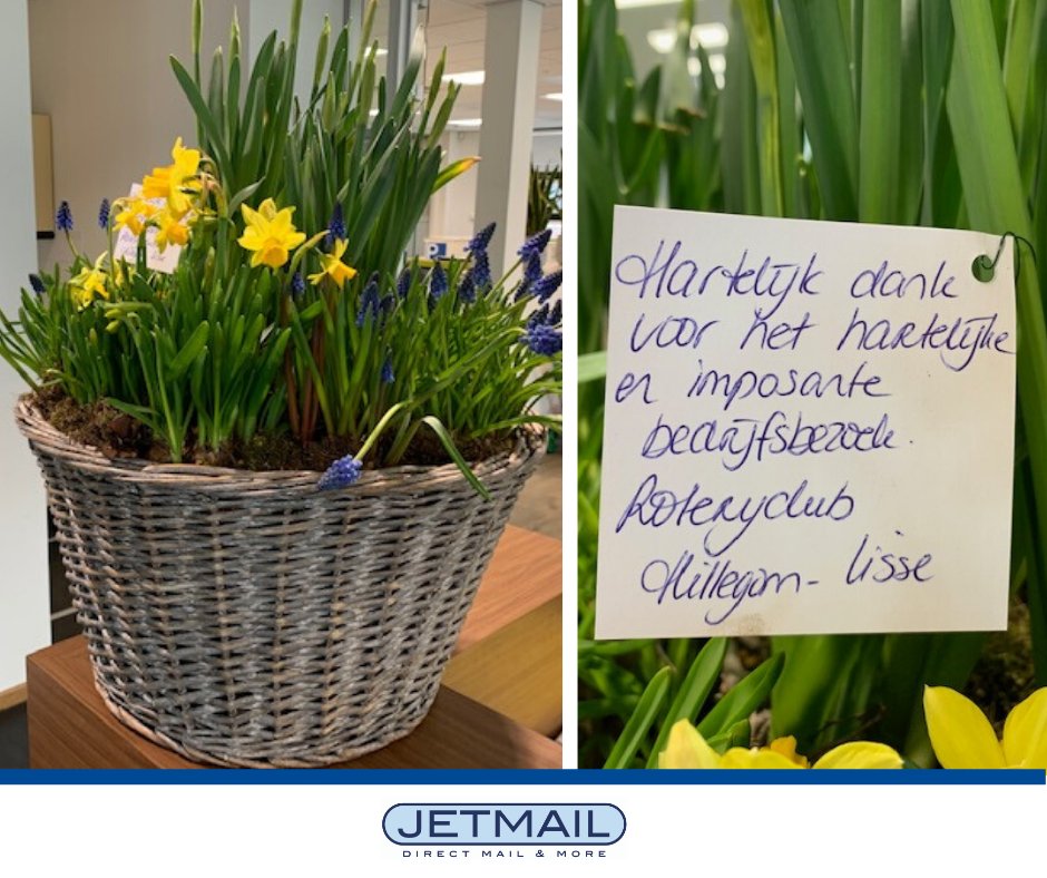 jetmail's tweet photo. Vandaag werden wij verrast met deze fleurige mand met een wel heel mooi bedankje van Rotary Club Hillegom-Lisse 🌼 Bedankt voor jullie komst! https://t.co/EdmCDISIO8