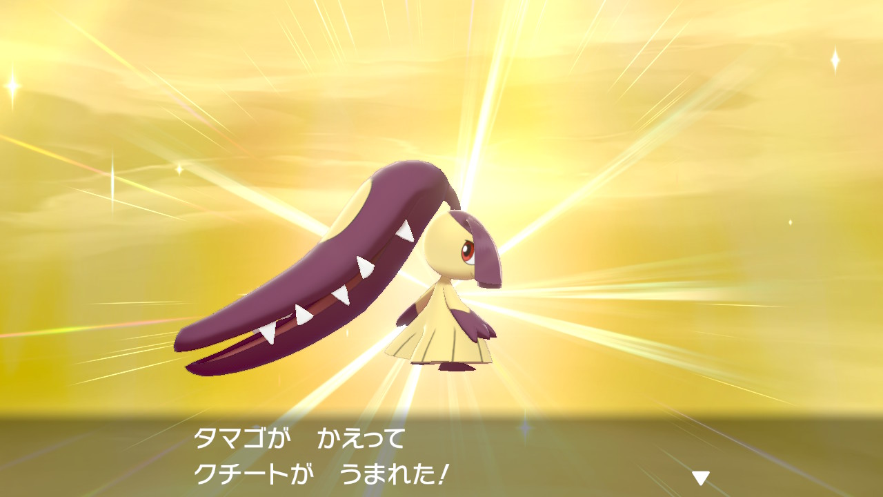 Ibu 在 Twitter 上 ポケモン剣盾 Nintendoswitch クチート 色違い エエエエエッッ まさかの色違い厳選6匹目でのお迎えになりました 狙っての色違いは過去最速です 最高かよ 推しポケモンでのキャンプ写真最高です T Co 1gaqbc77gn
